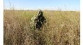 Маскировочный халат Taganrog Кикимора – купить по цене 3550 руб. в интернет-магазине в городе Мурманск картинка 13