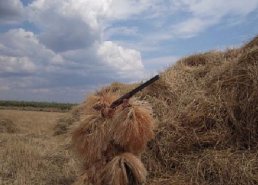 Маскировочная одежда для охоты в интернет-магазине в Мурманске, купить маскировочную сеть с доставкой картинка 28